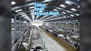 Hot-Dip Galvanized Q235B Poultry Steel Structure - Ventilation & Anti-Corrosion