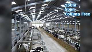 Colonne en acier d'envergure des toits 150m d'aéroport libre