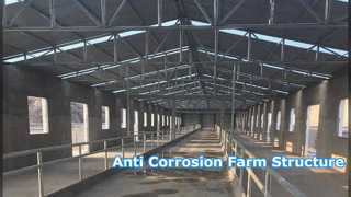 Structure en acier galvanisé pour volailles pour de meilleures fermes