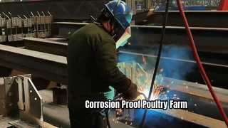Ferme de structure métallique de volaille anti-corrosion