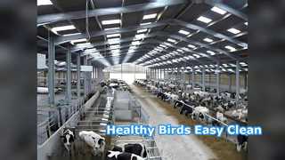 Ventilation galvanisée de structure métallique de volaille