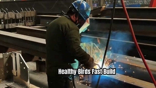 Bâtiment de ferme à structure métallique pour volailles