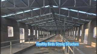 Structure métallique pour volailles : Ventilation anti-corrosion