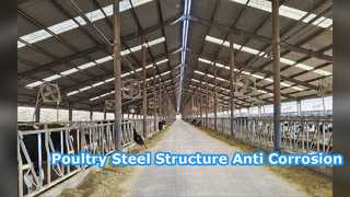 Ventilation de structure métallique de volaille anticorrosion